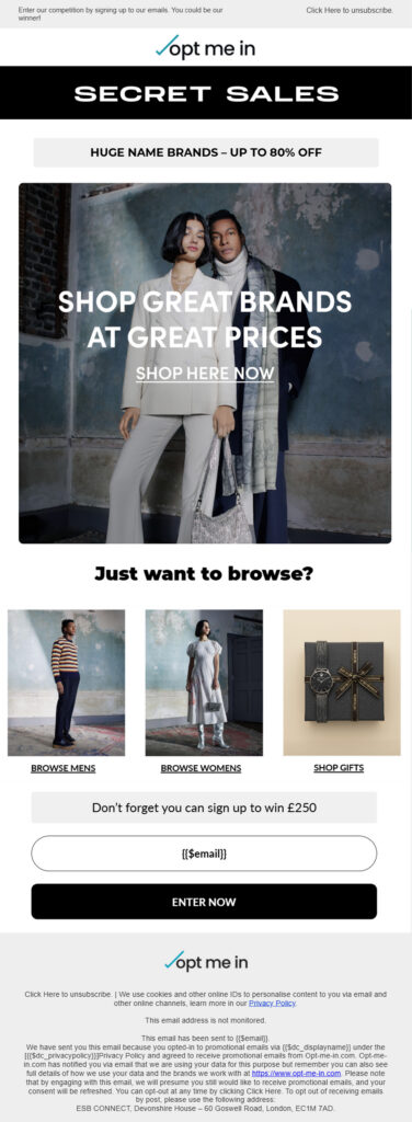 Secret Sales Optivo retargeting email preview